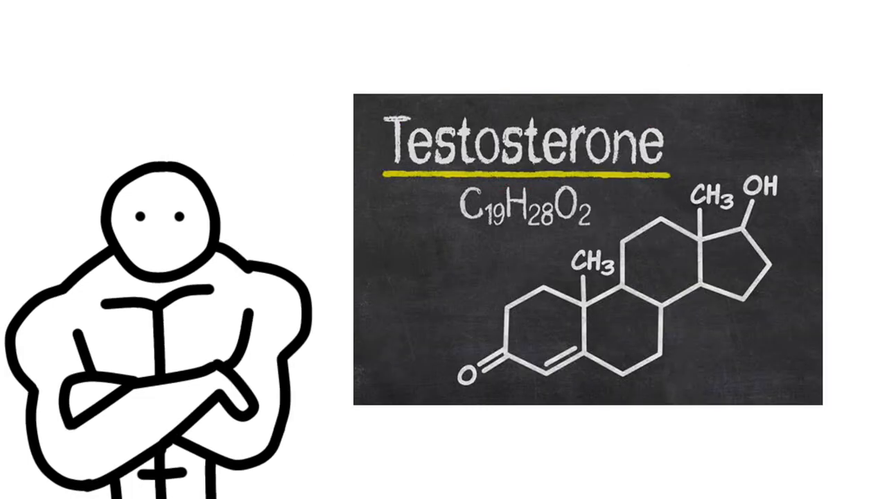 Natural Ways to Increase Testosterone